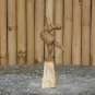 morepic-9